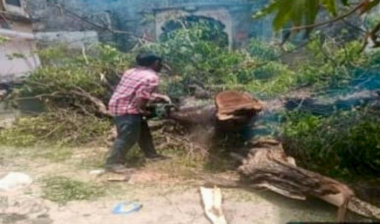 लोगों के पट्टे इंतजार में, ‘सफलता’ पेड़ हटाने में